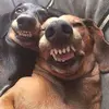 Gabriel_Manuel - @gg_aa.1k - TikTok