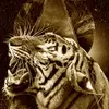 gabrielmarks583 - @gabrielmarks583 - TikTok