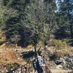 Gabriel Massey - @gabrielmasseyvlogs - Instagram