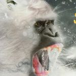 Gabriel Masters - @gabriel_spiders - Instagram