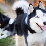 Gabriel Masterson - @gabrielmasterson - Instagram
