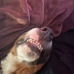 Gabriel McNulty - @mcnultygabriel - Instagram
