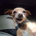 Gabriel Meadows - Facebook