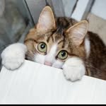 Biel - @_gabriel_moon_ - Instagram