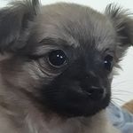 Gabriel Mooney - @smartty_gabriel - Instagram