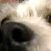 gabriel mora - @gabrielmora075 - TikTok