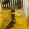 Gabriel Morel - @gabrielmorel56 - TikTok