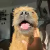 Gabriel Morel - @morebagel - TikTok