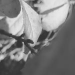 Gabriel Nicholson - @genexplatinumphotography4 - Instagram