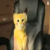 Gabriel.Otto•-• - @gabriel.otto - TikTok