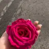 Otto Gabriel - @ottogabriel82 - TikTok
