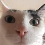 Gabriel pace - @gabriel.pacee09 - Instagram