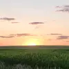 Gabriel Parrish - @gabriel.parrish3 - TikTok