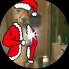Gabriel Partida - @gabriel.partida61 - TikTok