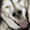 Gabriel Pech - @someonetookmyaccount54 - TikTok