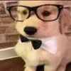 Gabriel Pelaez - @gabrielpelaez01 - TikTok