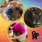 Gabriel Pepper Mouse - @gogogabriel26 - Instagram