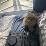 Gabriel Porter - @gabrieltporter - Instagram