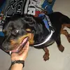 Gabriela Prieto - @gabrielaprieto661 - TikTok