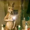 Gabriel Rico - @gabriel.rico84 - TikTok
