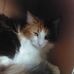 Gabriel Roberson - Facebook