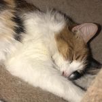 Gabriel Roberson - @tuna.kitty.cat - Instagram