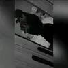 Gabriela Roca - @gabrielarocaa - TikTok