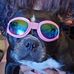 Gabriel Roper - Facebook