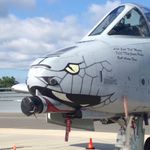 Gabriel Schaeffer - @schaeffer_gabriel - Instagram