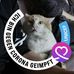 Gabriele Schaeffer - Facebook