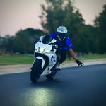 Gabriel Schaffer - @finch_r7 - Instagram