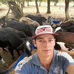 Gabriel Schuster - @gabriel.schuster.161 - Instagram