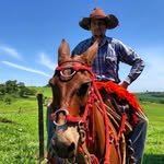 Gabriel Schuster - @gabriel.schuster.3954 - Instagram