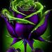 Gabriel Simerman - Facebook