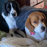 Gabriela Stapleton - @gabriela.stapleton.7 - Instagram