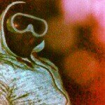 Gabriel Starks - @gsloveless - Instagram