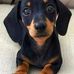 Gabriella Steinbach - Facebook
