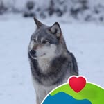 Gabriele Steinmann - @gabriele.steinmann - Instagram