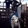 Gabriel - @gabrielstone420 - TikTok