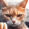 Gabriel Stone - @gabriel.stone0 - TikTok