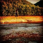 gabriel.ston - @gabriel.stoner - Instagram