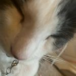 Gabriel stratton - @strattong25 - Instagram