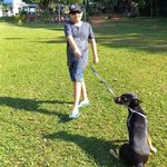 gabriel stuart - @gabrielstuart123 - Instagram
