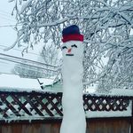 Seth Gabriel Sutton - @seth.sutton65 - Instagram