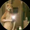 Gabriel Tenorio - @gabriel.tenorio42 - TikTok
