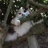 Gabriel.trp - @gabriel.trp11 - TikTok