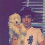 Gabriel Todd - @mr__kerfuffle - Instagram
