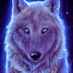 Gabriel Townsend - @gabrieltownsend5030 - Instagram