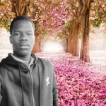 Gabriel Travis - @gabrieltravis44 - Instagram