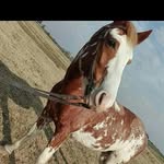 gabriel ulrich - @gabriel_ulrich1000 - Instagram
